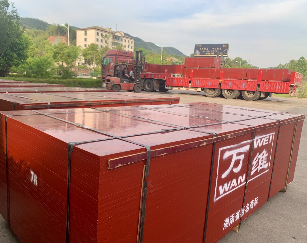 青海莫總竹膠板發(fā)貨